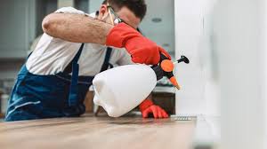 Trusted Port Aransas, TX Pest Control Experts